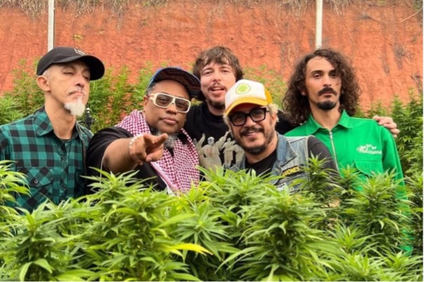 Planet Hemp posam em meio a folhas de cannabis durante gravação de um clipe na Fazenda Sofia Langenbach, primeiro espaço legalizado para plantação de maconha medicinal no Brasil